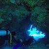 Picture taken during the dive