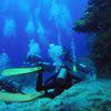 Picture taken during the dive
