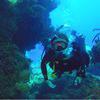 Picture taken during the dive