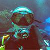 Picture taken during the dive