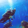 Picture taken during the dive
