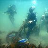 Picture taken during the dive