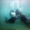 Picture taken during the dive