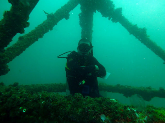 Dive Imports Australia - Dive Center in Australia