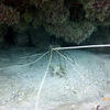 Picture taken during the dive