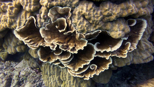 Tranquility Island Resort - Dive Center in Vanuatu