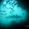 Picture taken during the dive