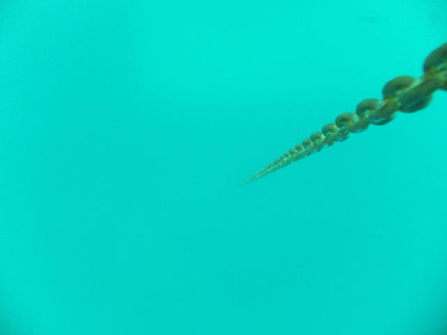 Cardiff Scuba Ltd - Dive Center in Reino Unido