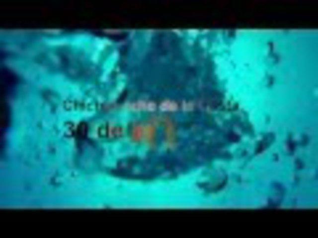 Scubatec Dive Center C.A. - Dive Center in 委内瑞拉