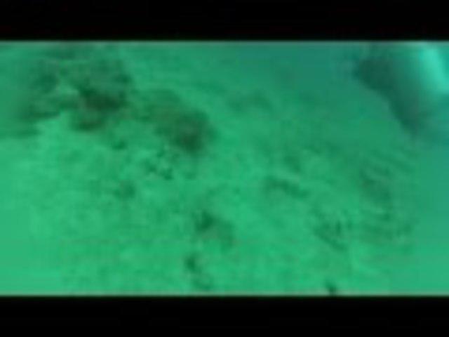 Antonio Dugartea - Dive Center in 委内瑞拉