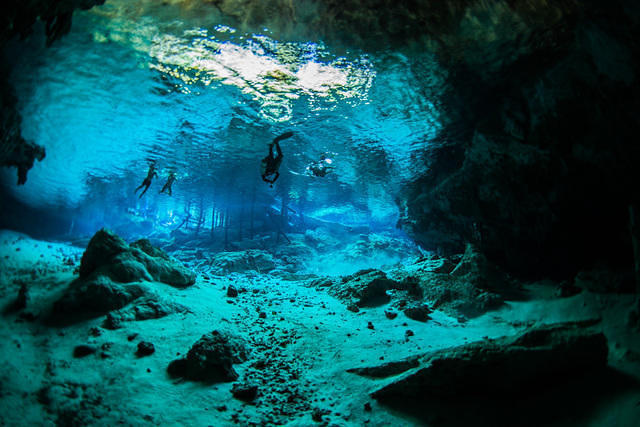 Diving in Mexico, Tulum - By Zsispeo
