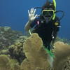 Picture taken during the dive