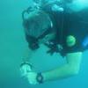 Picture taken during the dive