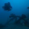Picture taken during the dive
