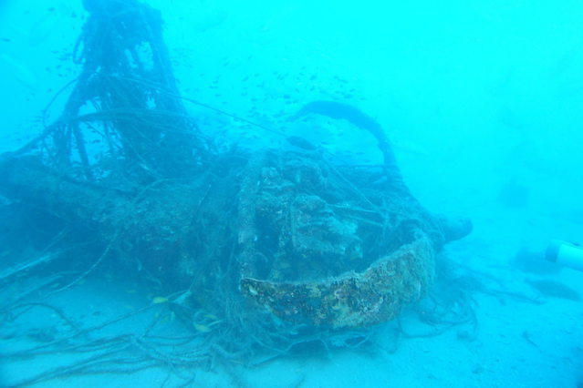 Diving in Australia, Townsville, Queensland - By Andrew Johnstone