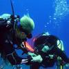 Picture taken during the dive