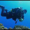 Picture taken during the dive