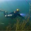Picture taken during the dive