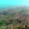 Picture taken during the dive
