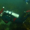 Picture taken during the dive