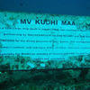 Picture taken during the dive