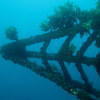 Picture taken during the dive