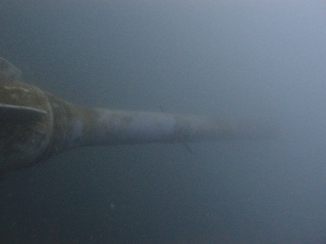 Exclusive Divers Algarve - Dive Center in Portugal