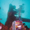 Picture taken during the dive