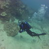 Picture taken during the dive