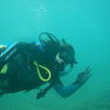 Picture taken during the dive
