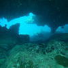 Picture taken during the dive