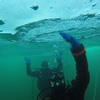Picture taken during the dive