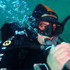Picture taken during the dive