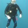 Picture taken during the dive