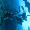 Picture taken during the dive