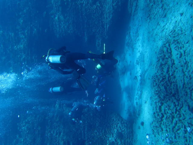Island Divers Hawaii - Dive Center in United States