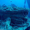 Picture taken during the dive