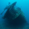 Picture taken during the dive