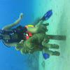 Picture taken during the dive