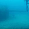 Picture taken during the dive