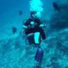 Picture taken during the dive