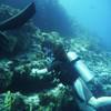 Picture taken during the dive