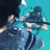 Picture taken during the dive