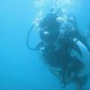Picture taken during the dive