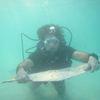 Picture taken during the dive