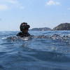 Picture taken during the dive