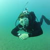 Picture taken during the dive