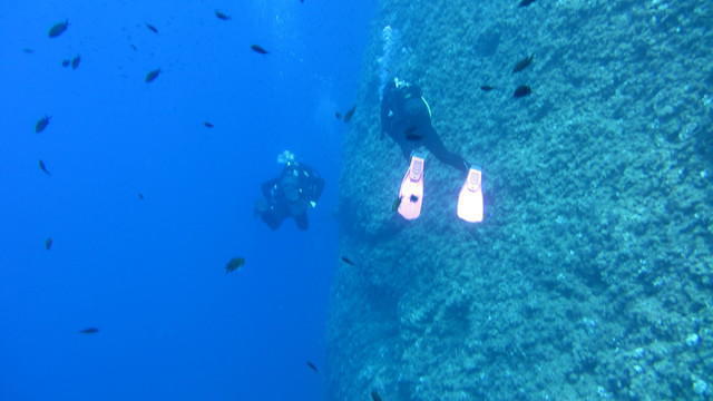 B&B DIVING CENTER SAS - Dive Center in Italy