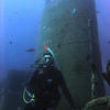 Picture taken during the dive