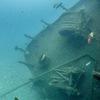 Picture taken during the dive